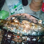 ปลาย่าง หรืออะไรวะ