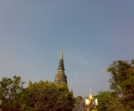 250120101167