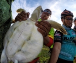 DCIM100GOPROGOPR4243.