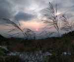 IMG_20160409_182757