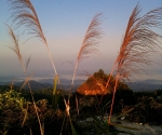 phu ta jor_HQ_1484