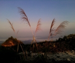 phu ta jor_HQ_196