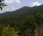 phu ta jor_HQ_4160