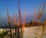 phu ta jor_HQ_4311