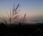 phu ta jor_HQ_4418