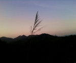 phu ta jor_HQ_5104
