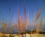 phu ta jor_HQ_5134
