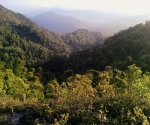phu ta jor_HQ_7510