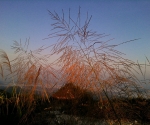 phu ta jor_HQ_8876