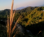 phu ta jor_HQ_8936