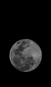 moonyj9